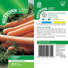 Carrot Seeds - F1 Maestro