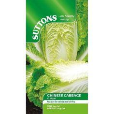 Chinese Cabbage Seeds - Hilton