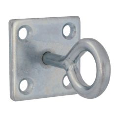 Hook & Eye With Plate 50mm x X 50mm X 5mm