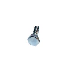 Stainless Steel Coach Screw - M10 x 50mm