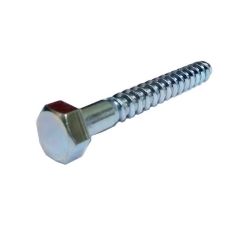 Stainless Steel Coach Screw - M12 x 100