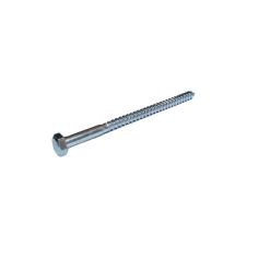 Stainless Steel Coach Screw - M6 x 40mm