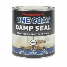 Thompsons One Coat Damp Seal - White 250ml