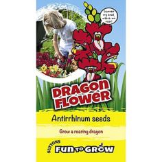 Dragon flower Antirrhinum Seed