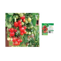 Tomato Seeds - F1 Tumbler (7 Seeds)