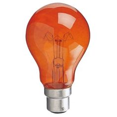 60W BC Fireglow Bulb - Large Push in