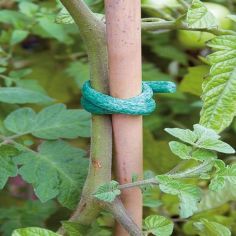 Foam Plant Ties