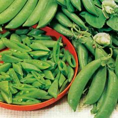 Suttons Seeds - Pea Sugar Snap Seeds - Delikett