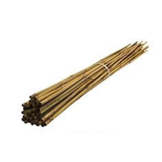 Grass Roots 90cm 20pc Natural Bamboo Canes