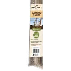 Grass Roots Bamboo Canes - 60cm - Pack Of 20