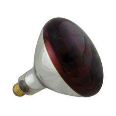 250W E27 Infra Red Lightbulb