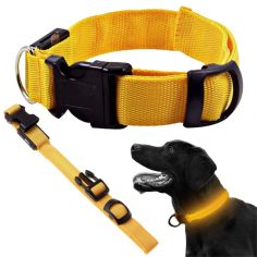 LED Lighting Collar for Dogs and Cats Adjustable from 36- 59cm