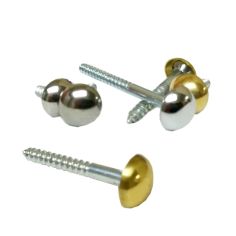 Chrome & Brass Mirror Screws