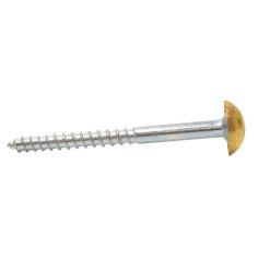 50mm x  No 8 Electro Brassed Dome Mirror Screws - Each