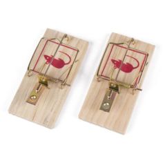 Mouse Traps - 2 Piece 