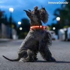  InnovaGoods LED Collar for Pets 