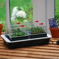 Premium Four Top Heated Electric Plant Propagator