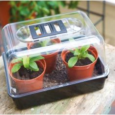 Unheated Propagator - 52 cm 