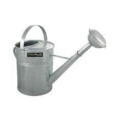 9L Galvanised Watering Can