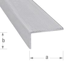 Raw Aluminium Step Edging - 45mm x 23mm x 1m 