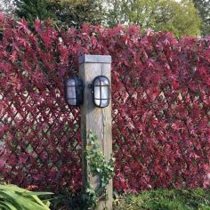 Red Acer Artificial Trellis Hedge 2m x 1m