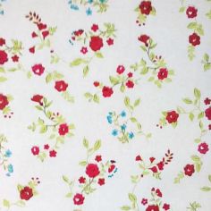 Red & Blue Floral Oilcloth