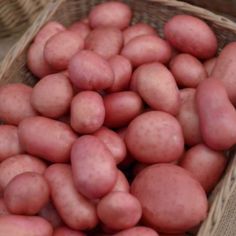 Roosters Maincrop Seed Potatoes 2kg