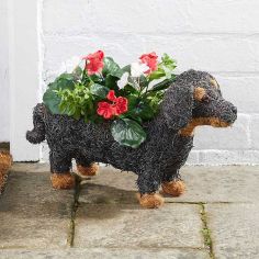 Sausage Dog Planter