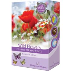 Scatter Garden Wild Flowers Cornfield Annuals Mix 200g
