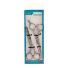 Ashley 2pc Hairdressers Scissors Set