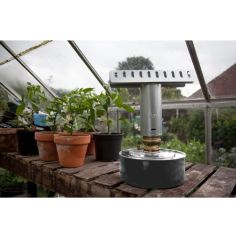 Apollo Greenhouse Paraffin Heater - Single