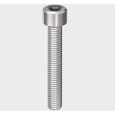 Socket Cap Stainless Screw - 8.0mm x 20mm