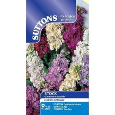 Stock Seeds - Giant Perfection Mix