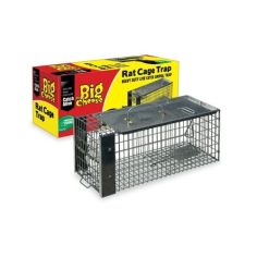 Big Cheese Rat Trap Cage Live