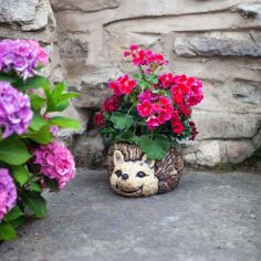 Hedgehog Planter