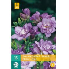 Freesia Double Blue - Pack of 15