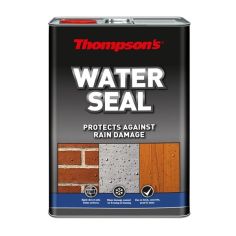 Thompsons Water Seal - 5L