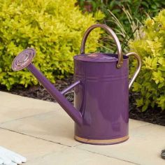 Violet Watering Can - 9L