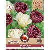 Florex Tulip Jeanne Mix 1112 - 15 pieces
