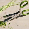 Herb Scissors 10 Blade Stainless Steel Herb Cutter