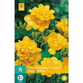 Freesia Double Yellow Flower Bulbs - Pack Of 15