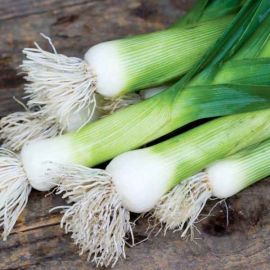 Suttons Leek Seeds - Chefs White - Pack Of 150