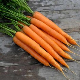 Suttons Seed Tape - Carrot Amsterdam Forcing 3 - 6m Seed Tapes
