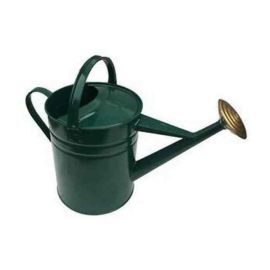Green Galvanised Watering Can 2 Gallon / 9L