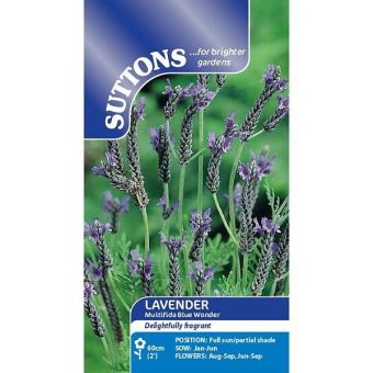 Suttons Seeds - Lavender - Multifida Blue Wonder