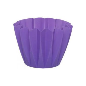 Flora-Blum Adonis Flower Pot - Purple 11cm