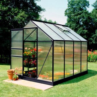 Popular Greenhouse Polycarbonate Black 6' x 8'