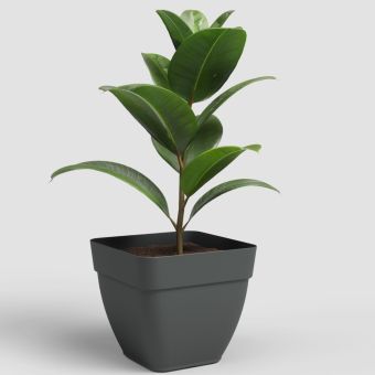 Artevasi Capri Campana Square Pot 35cm - Anthracite