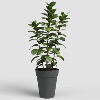 Artevasi Capri High Round Pot 56cm - Anthracite