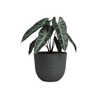 Artevasi Havana Horizon Pot 40cm - Volcano Anthracite